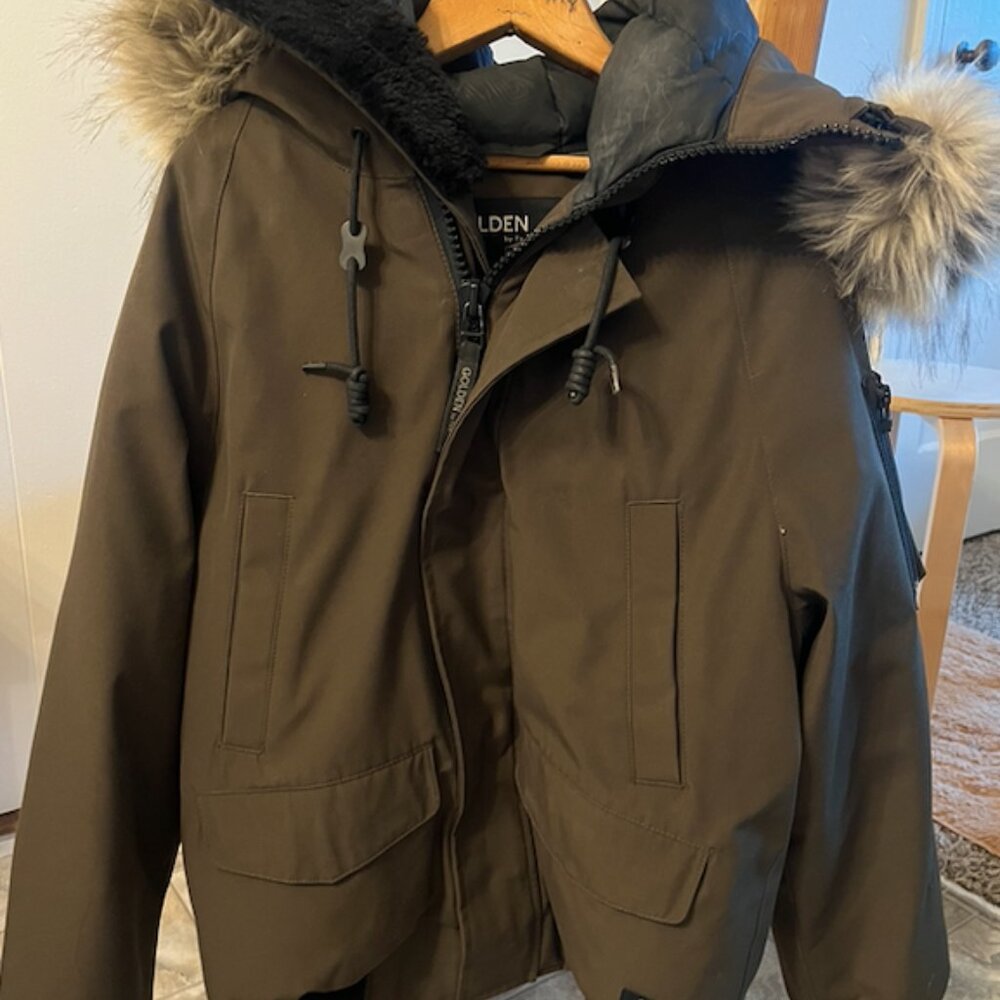 Aritzia Parka